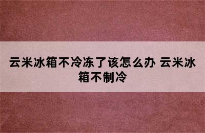 云米冰箱不冷冻了该怎么办 云米冰箱不制冷